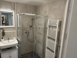 Pronájem bytu 1+kk, České Budějovice, Chelčického, 38 m2