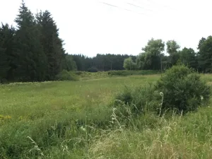 Prodej pozemku, Chodský Újezd - Nahý Újezdec, 13137 m2