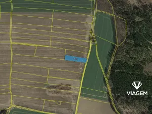 Prodej pole, Soutice, 1843 m2