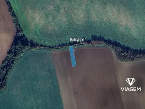 Prodej podílu pole, Staré Město, 1121 m2