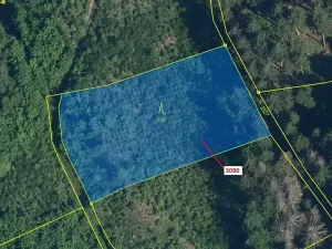 Dražba lesa, Benešov u Semil, 2540 m2