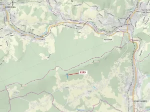 Dražba lesa, Velké Hamry, 6125 m2