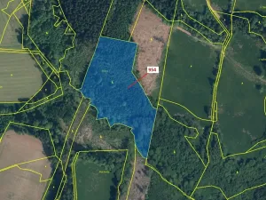 Dražba lesa, Bystrá nad Jizerou, 20539 m2