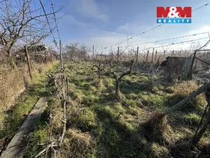 Prodej chaty, Hrušovany u Brna, 21 m2