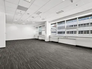 Pronájem kanceláře, Praha - Smíchov, Radlická, 790 m2