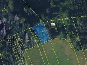 Dražba lesa, Spešov, 420 m2