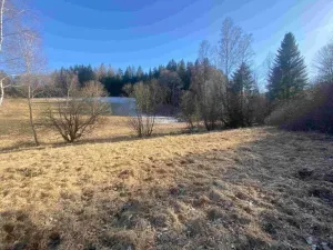 Dražba pozemku, Čachrov, 10377 m2