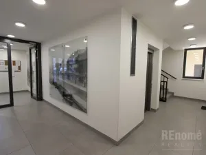 Pronájem bytu 2+kk, Praha - Karlín, U Mlýnského kanálu, 55 m2