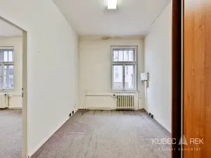 Prodej rodinného domu, Tábor, V Krátké, 210 m2