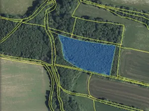 Prodej lesa, Lánov - Horní Lánov, 11269 m2