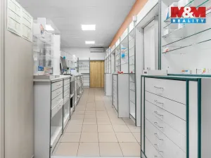 Pronájem komerční nemovitosti, Ústí nad Labem - Severní Terasa, Šrámkova, 181 m2