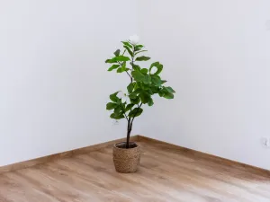 Prodej rodinného domu, Těrlicko - Horní Těrlicko, Farní, 100 m2