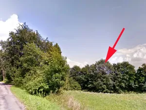 Prodej lesa, Cotkytle, 7064 m2