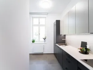 Pronájem bytu 1+1, Praha - Žižkov, Jeronýmova, 41 m2