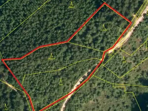 Prodej lesa, Lhota u Vsetína, 5837 m2