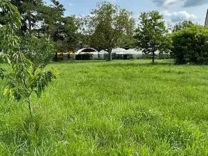 Prodej pozemku pro bydlení, Kovalovice, 2348 m2