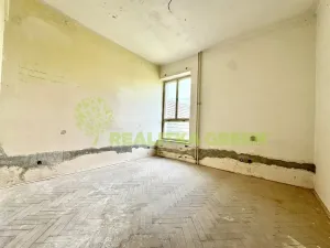 Prodej ubytování, Želetava, Pražská, 1135 m2