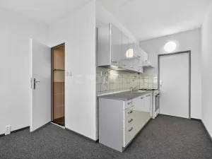 Prodej bytu 2+1, Plzeň, Elišky Krásnohorské, 60 m2