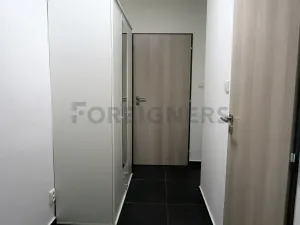 Pronájem bytu 1+kk, Brno, Bratislavská, 35 m2