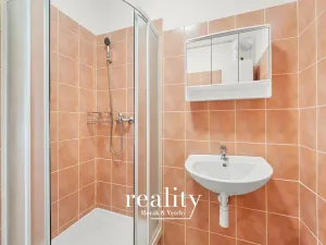 Pronájem bytu 1+1, Jihlava, Mošnova, 48 m2