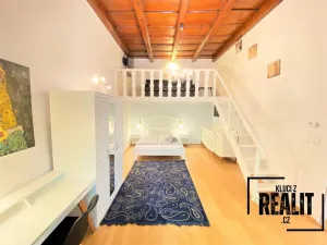 Pronájem bytu 1+1, Praha - Malá Strana, Újezd, 49 m2