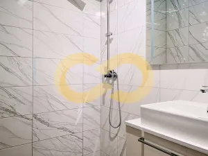 Pronájem bytu 3+kk, Písek, Alšovo nám., 150 m2