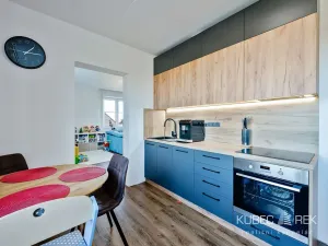 Prodej bytu 2+1, Tábor, Nad Obchvatem, 63 m2