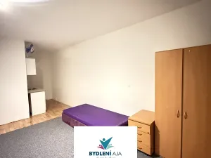 Pronájem bytu 1+kk, Teplice, Krušnohorská, 32 m2