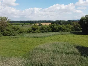 Dražba louky, Střížovice, 2388 m2
