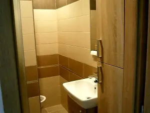 Pronájem bytu 1+1, Lovosice, Vodní, 38 m2