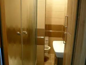 Pronájem bytu 1+1, Lovosice, Vodní, 38 m2