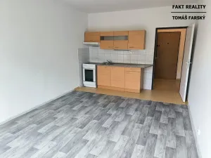 Pronájem bytu 1+kk, Děčín, Želenická, 25 m2