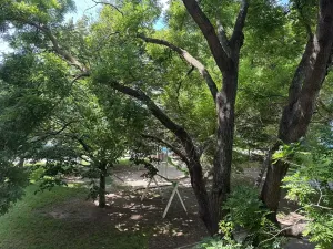 Prodej bytu 4+1, Brno, Strnadova, 80 m2