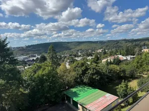 Prodej bytu 3+1, Brno, Bohuslava Martinů, 79 m2