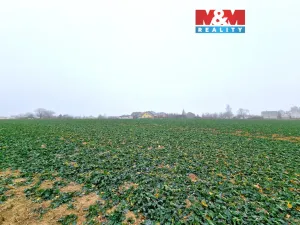 Prodej pozemku pro bydlení, Štěpánkovice, 5343 m2