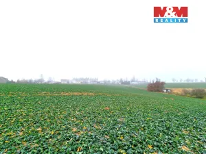 Prodej pozemku pro bydlení, Štěpánkovice, 5343 m2