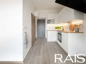 Prodej bytu 2+kk, Brno, Křenová, 55 m2