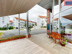 Prodej rodinného domu, Bučovice, Slovenská, 900 m2