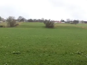 Dražba pole, Mladý Smolivec, 15075 m2