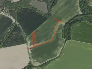 Prodej pole, Malešov, 6183 m2