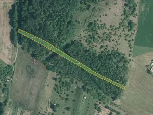 Prodej pole, Silůvky, 17890 m2