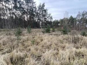 Prodej lesa, Kostelní Lhota, 9438 m2