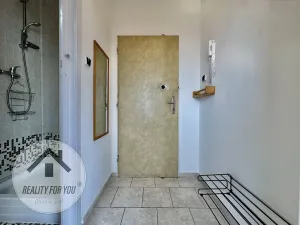 Pronájem bytu 1+kk, Praha - Záběhlice, Dunická, 18 m2