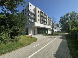Pronájem bytu 2+kk, Pardubice - Zelené Předměstí, nábřeží Závodu míru, 80 m2