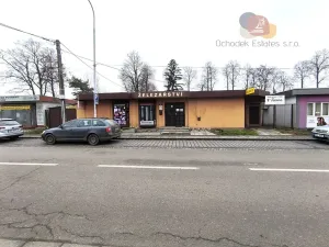 Prodej obchodního prostoru, Prostějov, Krasická, 207 m2