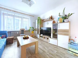 Prodej bytu 2+1, Čelákovice, V Prokopě, 65 m2