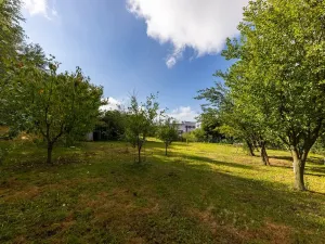 Prodej zemědělské usedlosti, Sklené nad Oslavou, 330 m2