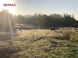 Prodej pozemku, Vyskytná nad Jihlavou, 172102 m2