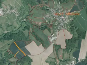 Dražba pole, Velký Ořechov, 11710 m2