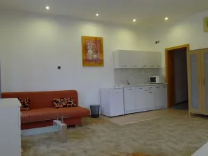 Pronájem bytu 1+kk, Mnichovice, Pražská, 32 m2